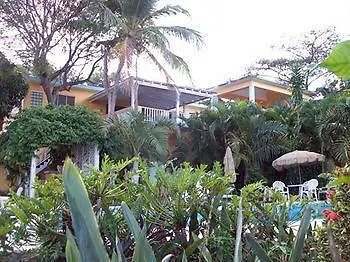**** Hotel The Crow'S Nest Inn Vieques Puerto Rico