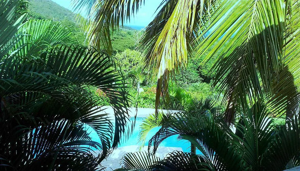 Hotel The Crow'S Nest Inn Vieques